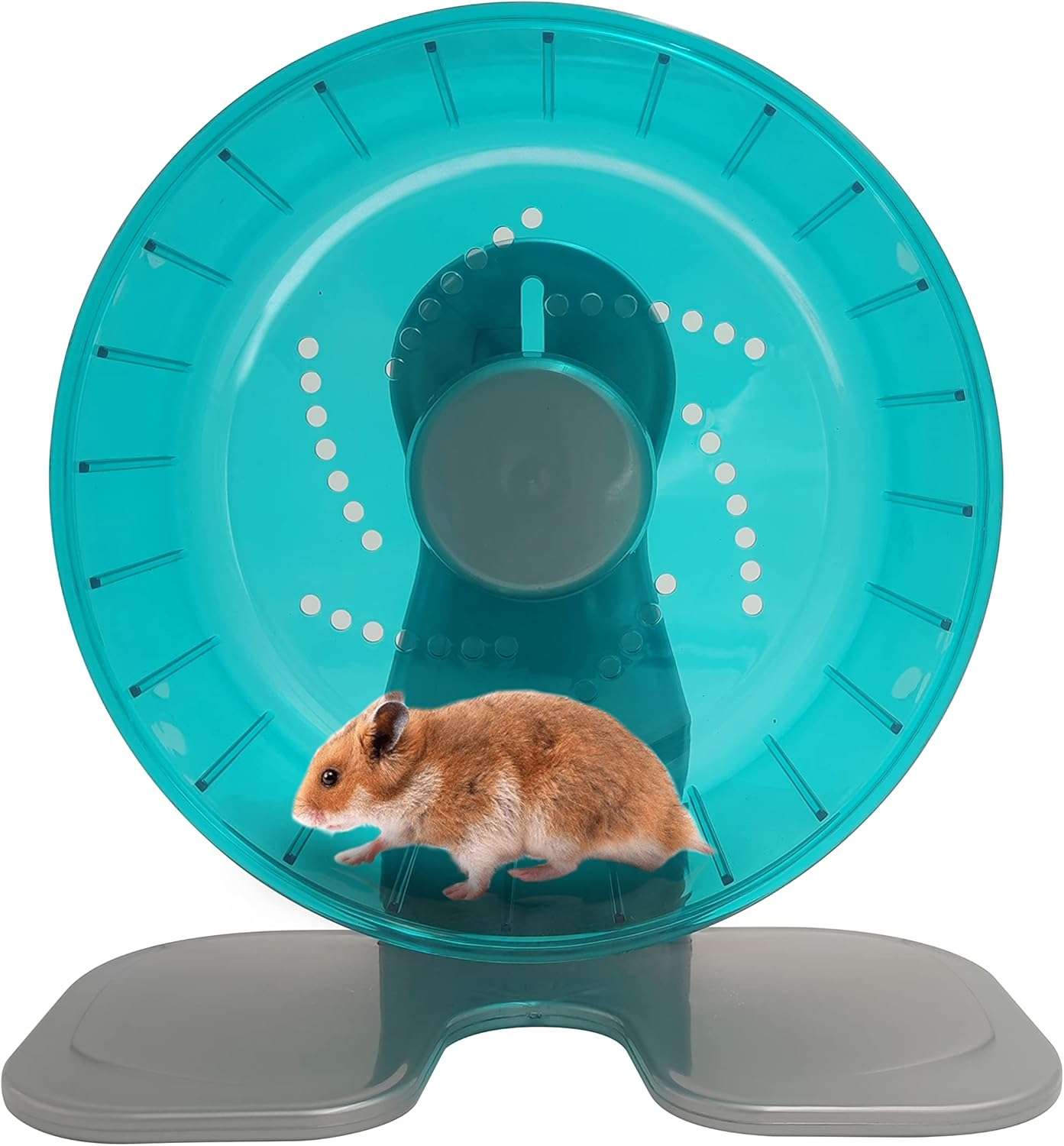 Rueda de ejercicio silenciosa y ajustable para hamsters y roedores pequeños.