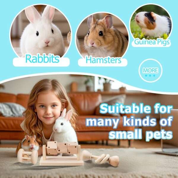 Set 3 Juguetes Molares Interactivos de Madera Natural para Hámster. Dispensador de Comida que gira, Antiestrés para roedores y conejos pequeños.