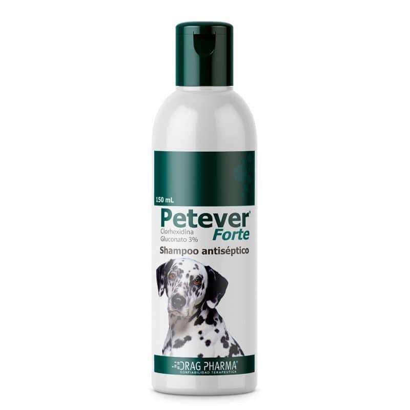 Shampoo Petever Forte. Antiseptico con Gluconato de Clorhexidina 3 por ciento. Para infecciones cutaneas, bacterias y levaduras en perros.