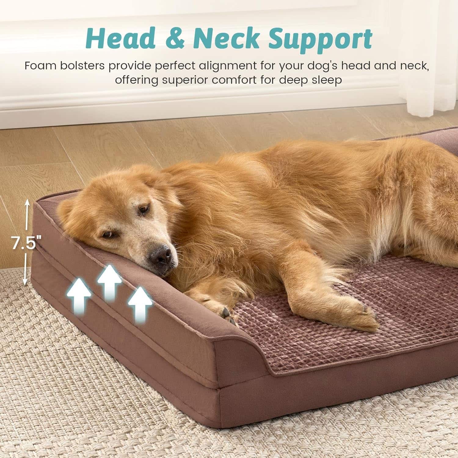 Sofa cama ortopedico para perros con espuma de alta densidad forro impermeable y funda lavable.