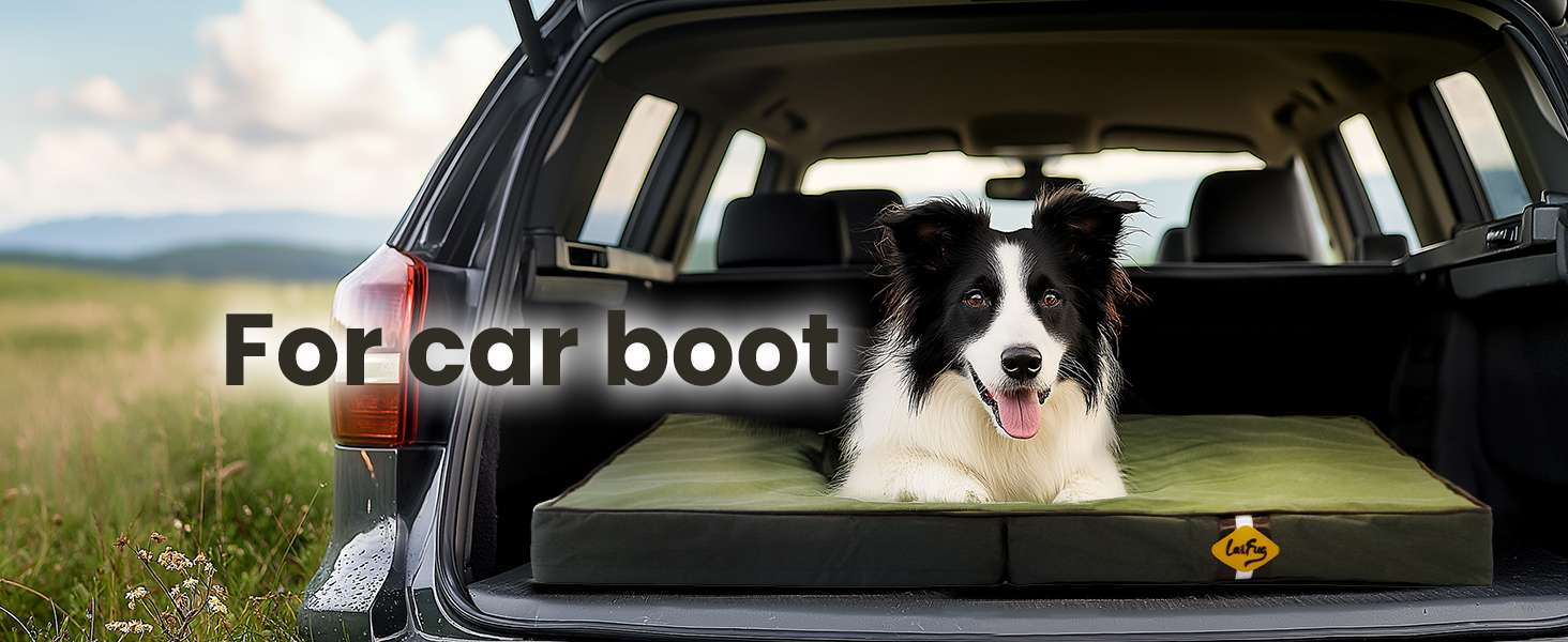 Cama plegable impermeable para perro con soporte ortopédico de 9 cm. Portátil y con funda de tela Oxford.