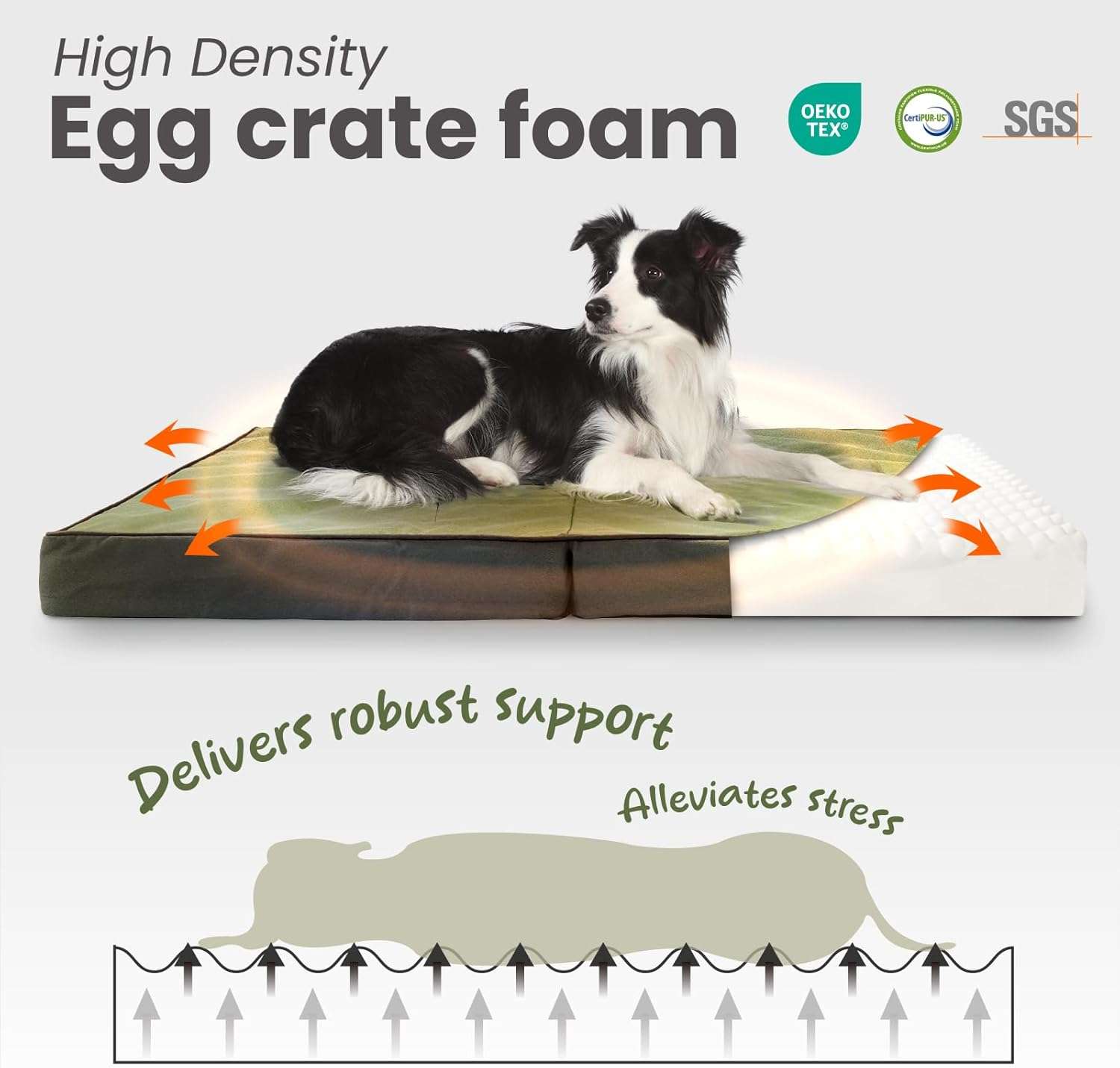 Cama plegable impermeable para perro con soporte ortopédico de 9 cm. Portátil y con funda de tela Oxford.