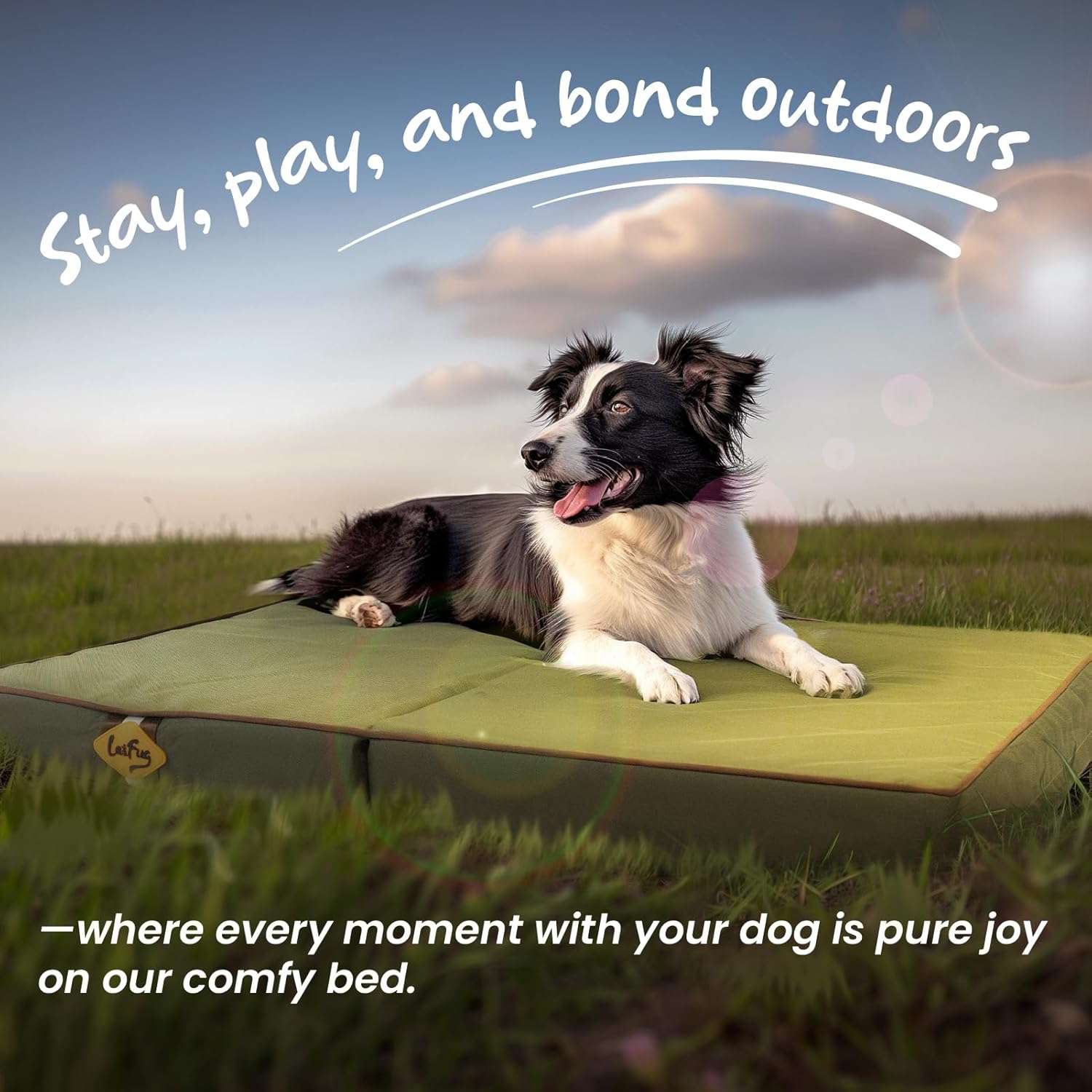 Cama plegable impermeable para perro con soporte ortopédico de 9 cm. Portátil y con funda de tela Oxford.