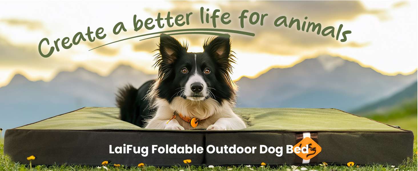 Cama plegable impermeable para perro con soporte ortopédico de 9 cm. Portátil y con funda de tela Oxford.