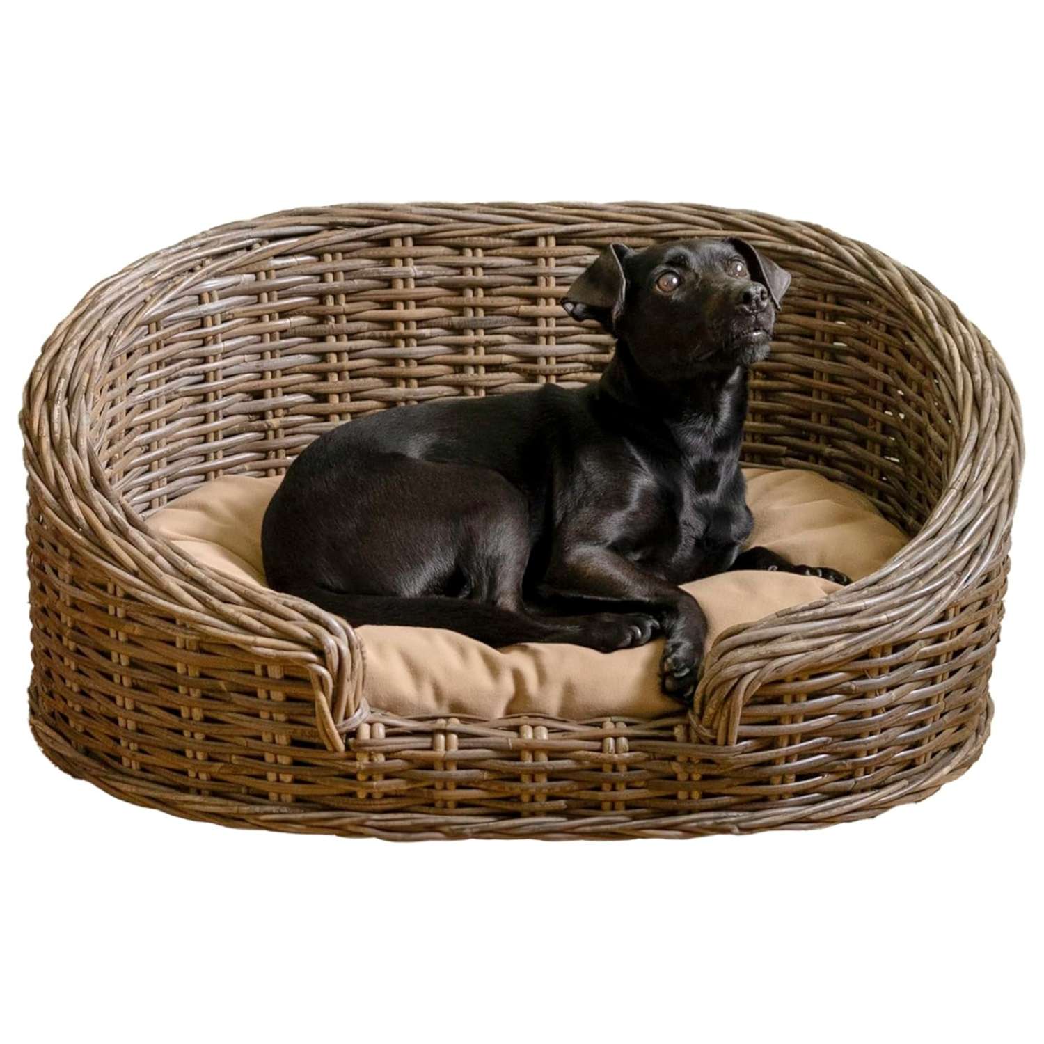 Cama de ratán Kubu color gris con cojín beige. Diseño de lujo estilo costa para perros de menos de 15 kg.