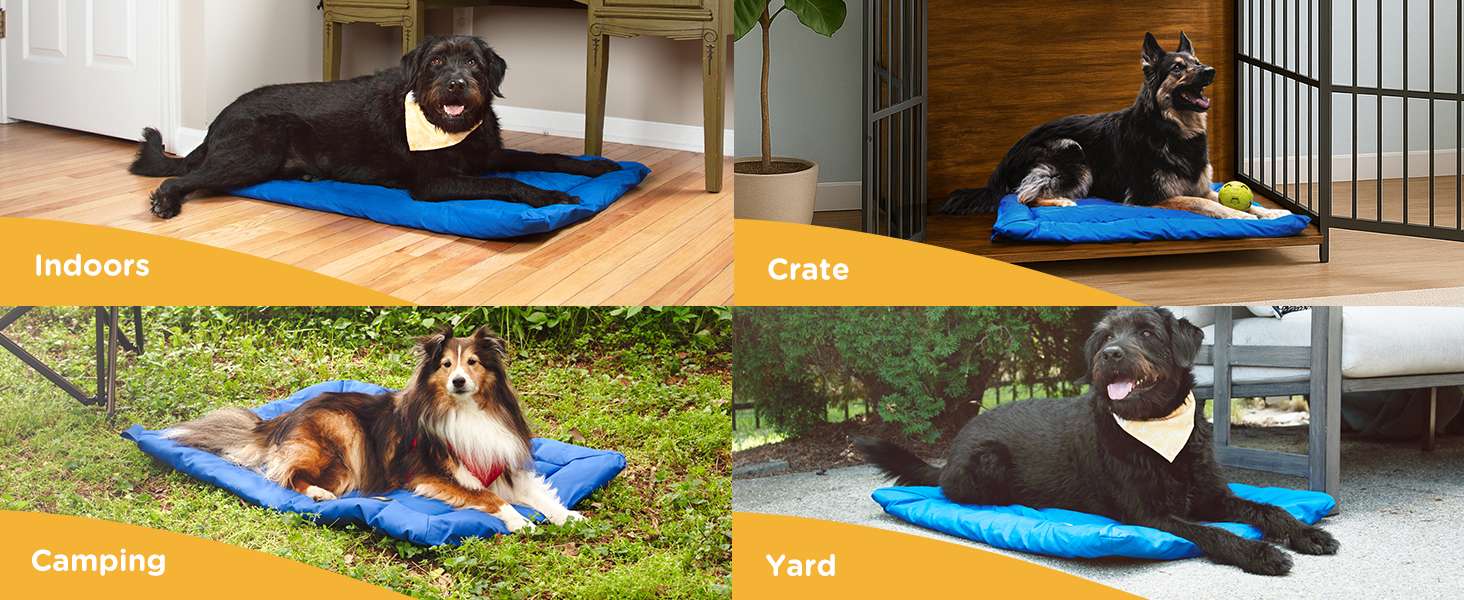 Cama plegable para perros medianos (88x64 cm). Hecha de tela Oxford 600D, impermeable y resistente a arañazos. Ideal para jaulas y camping.