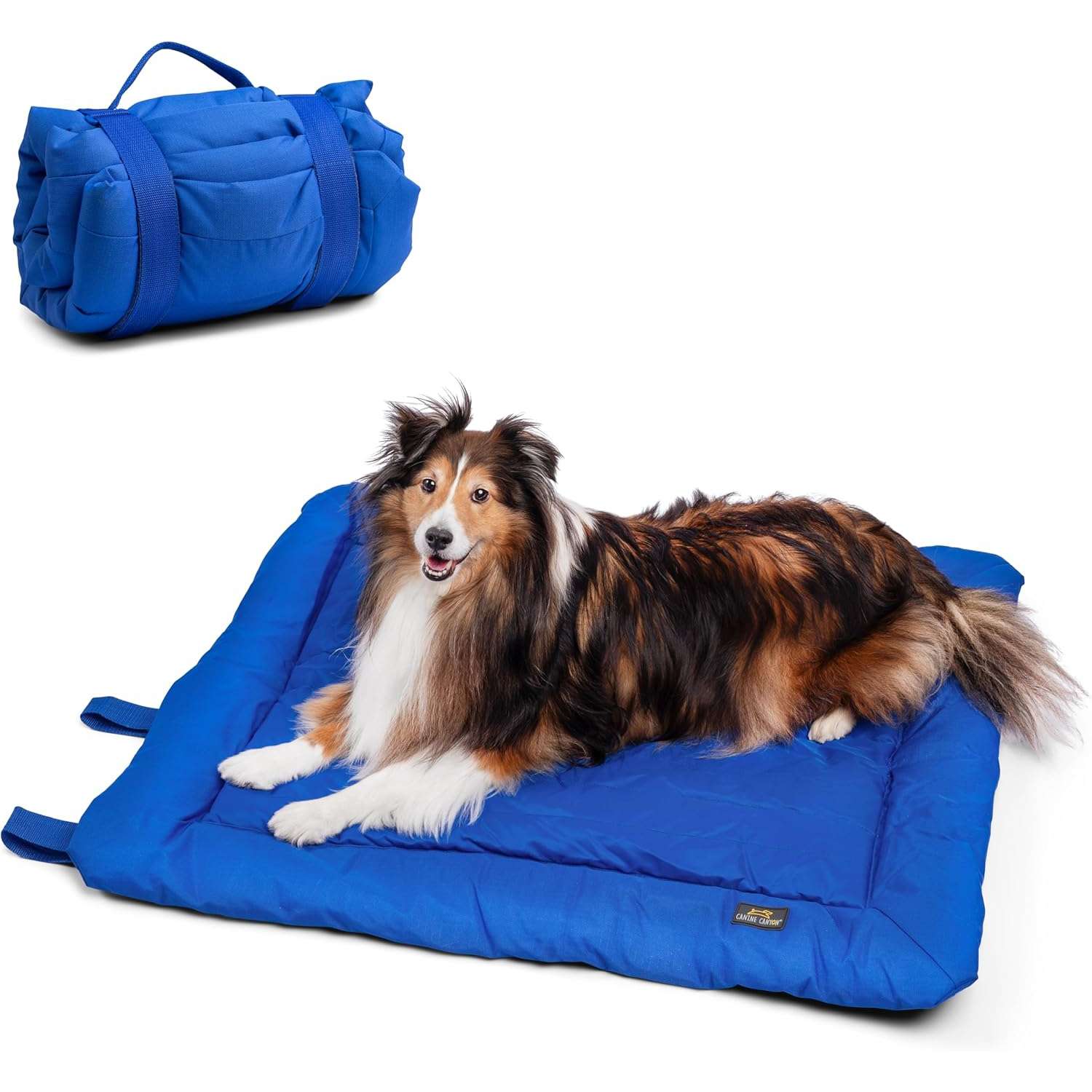Cama plegable para perros medianos (88x64 cm). Hecha de tela Oxford 600D, impermeable y resistente a arañazos. Ideal para jaulas y camping.