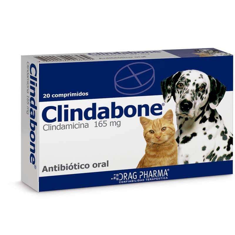 Clindabone (165 mg). Antibiótico oral con Clindamicina para infecciones de piel, huesos (osteomielitis) y bucales en perros y gatos.