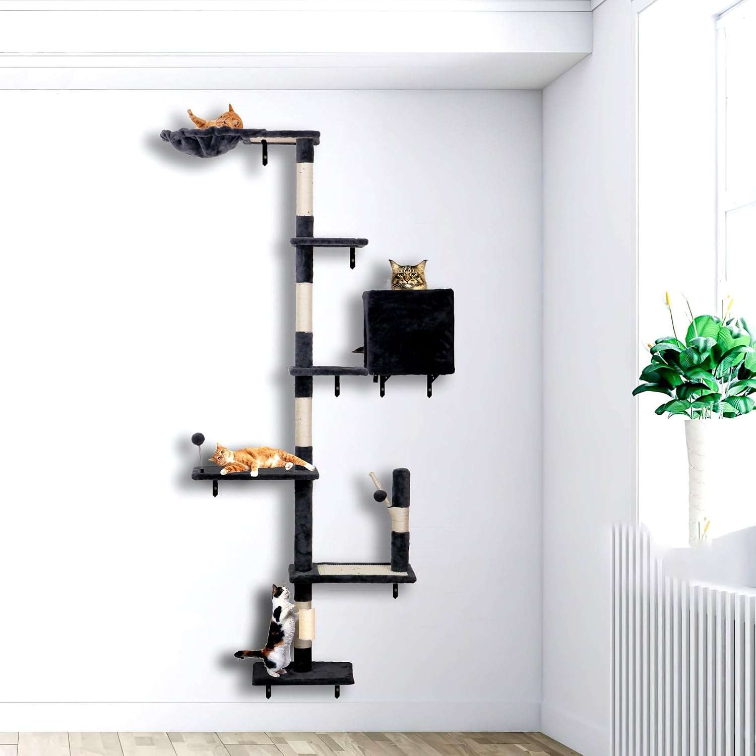 Gimnasio de pared para gatos de 224 centimetros de alto con rascador y casa. Set completo de aglomerado con forro suave.