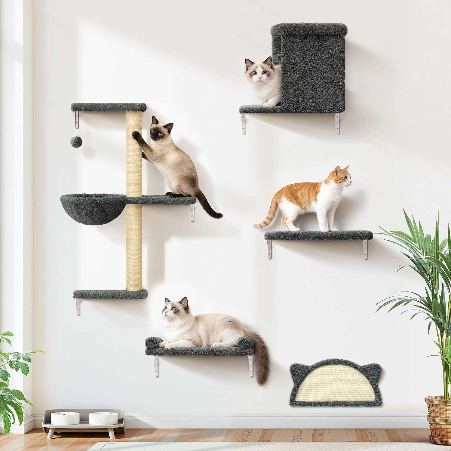 Set de gimnasio de pared 5 en 1 para gatos con casa de dos pisos cesta y rascador.