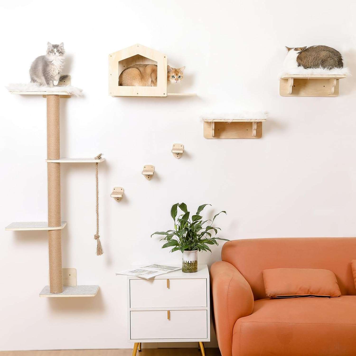 Set de gimnasio de pared para gatos con arbol de 4 niveles casa y escalones de madera con soportes metalicos.