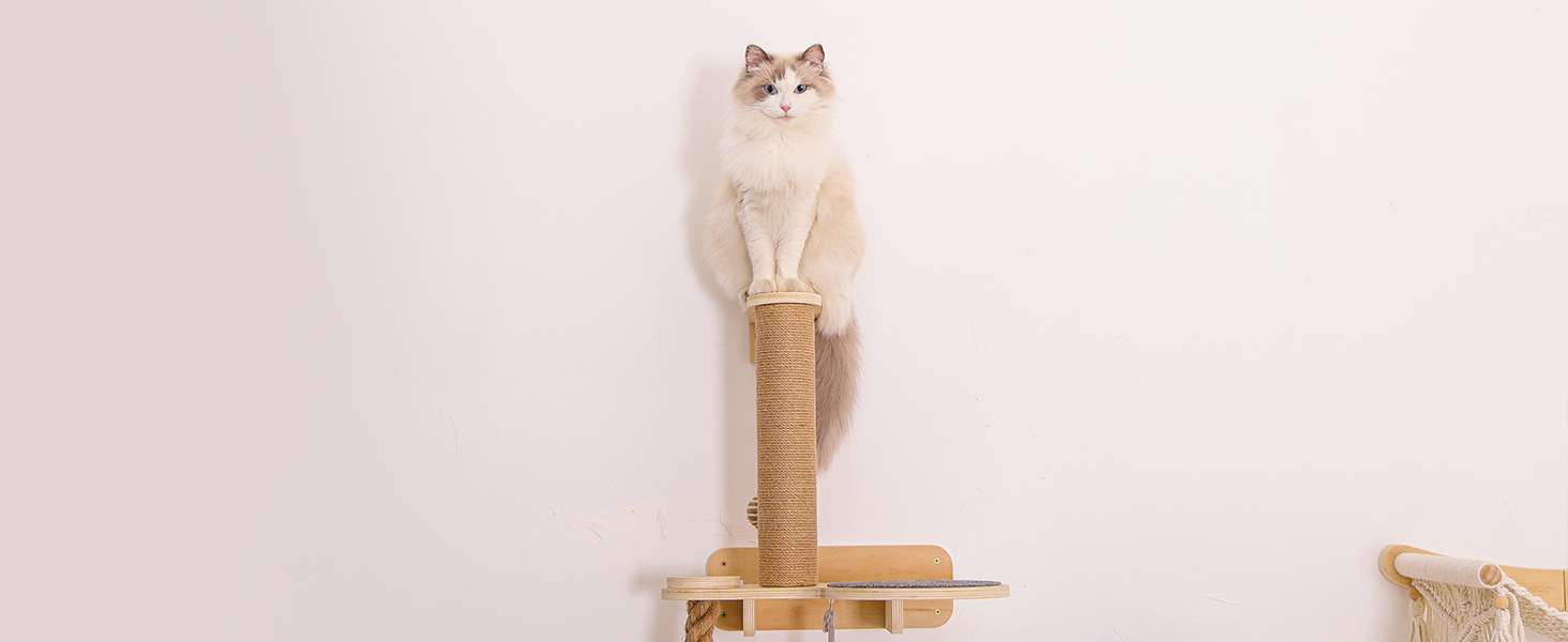 Gimnasio de pared de madera para gatos con cama trenzada rascador y comedero.