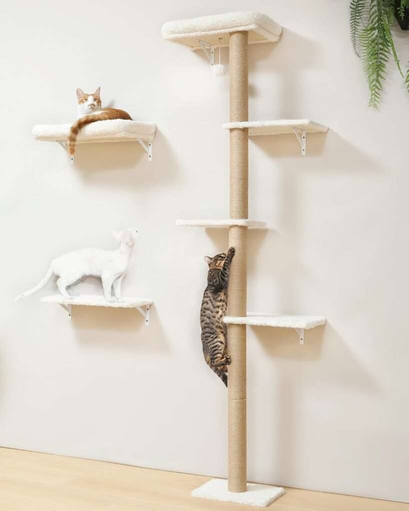Set de gimnasio de pared para gatos de madera solida con cama rascador y estantes diseño natural.