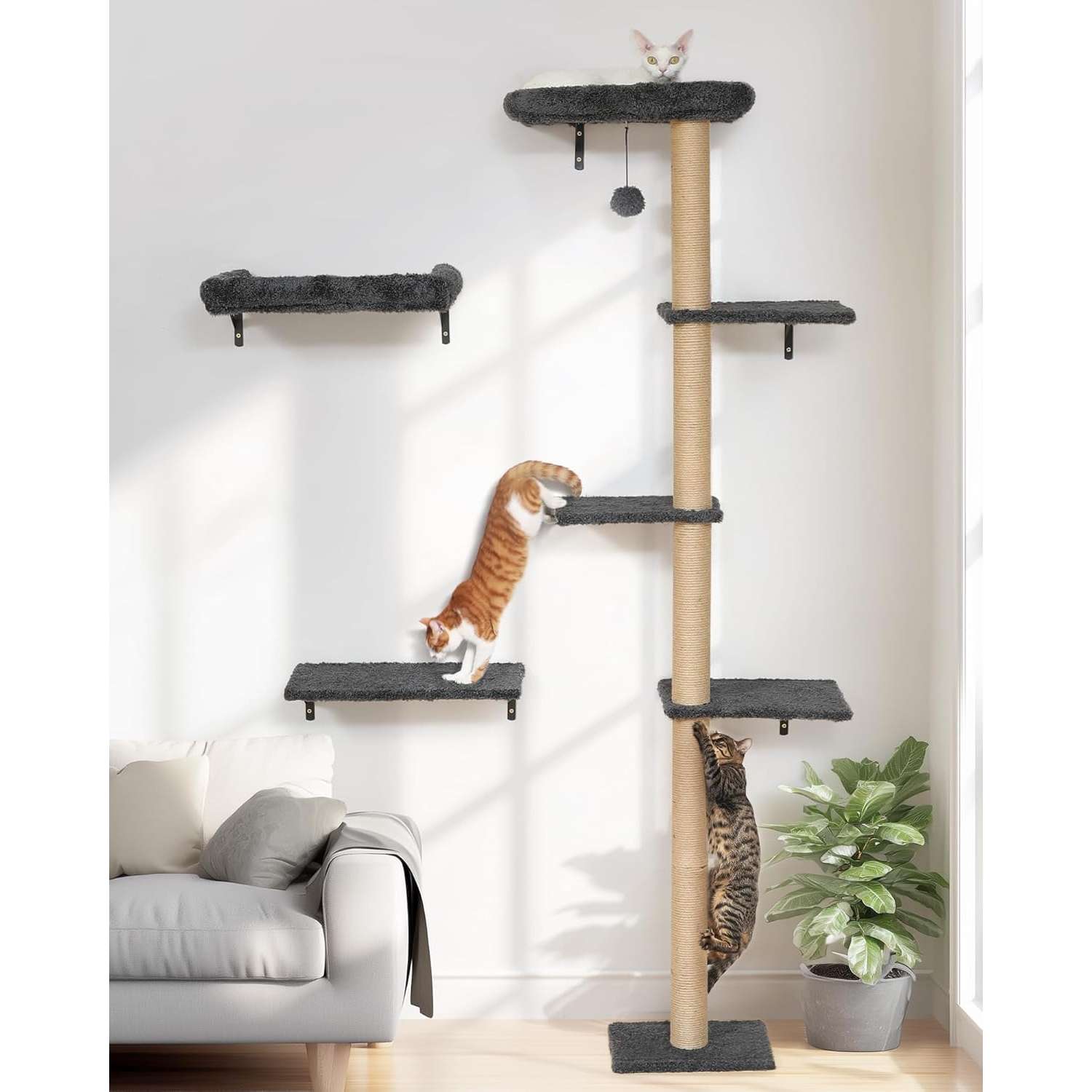 Set de gimnasio de pared para gatos de madera solida con cama rascador y estantes diseño natural.