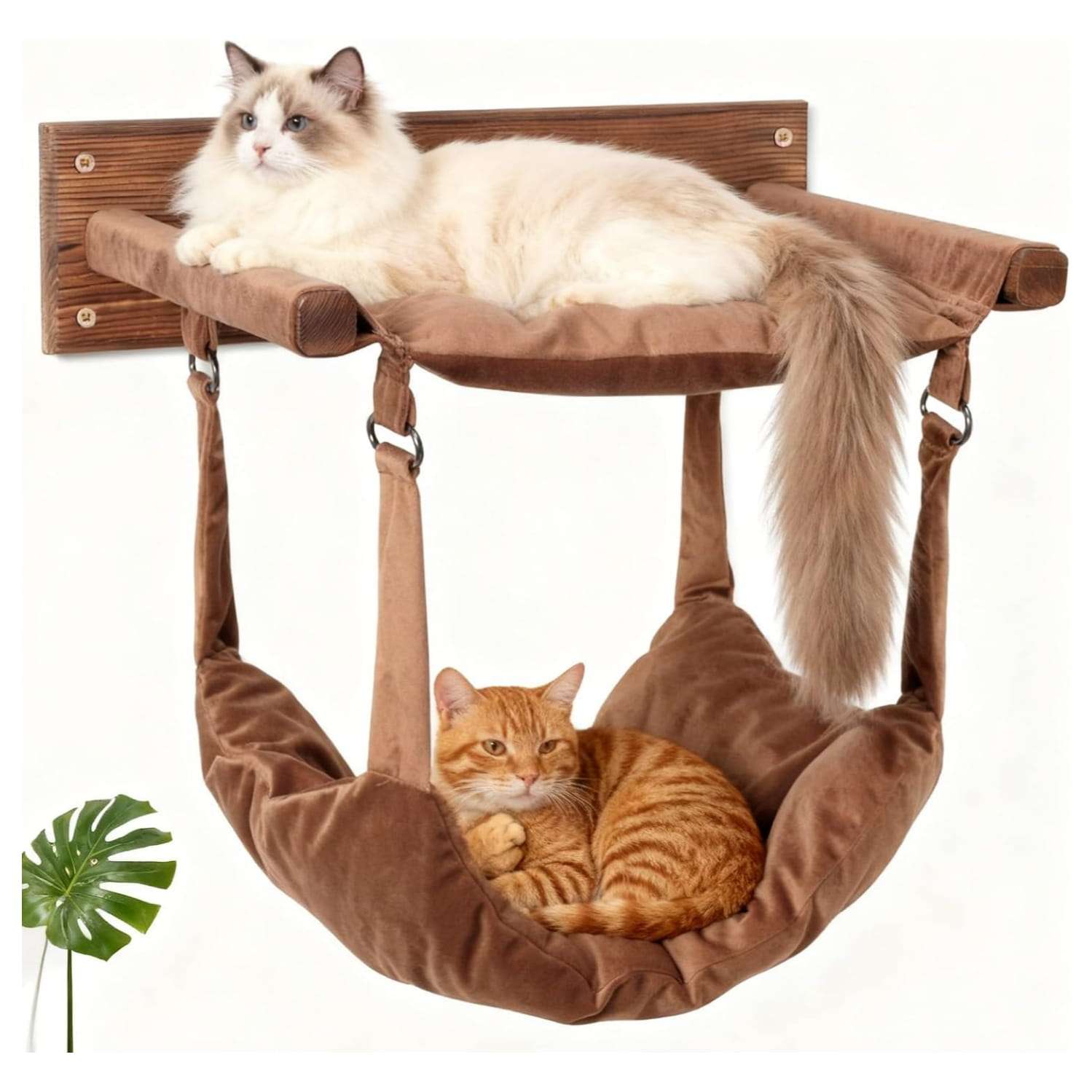Hamaca de pared para gatos de madera pino. Soporta 23 kilos. Tela lavable y diseño grande de 48 cm.