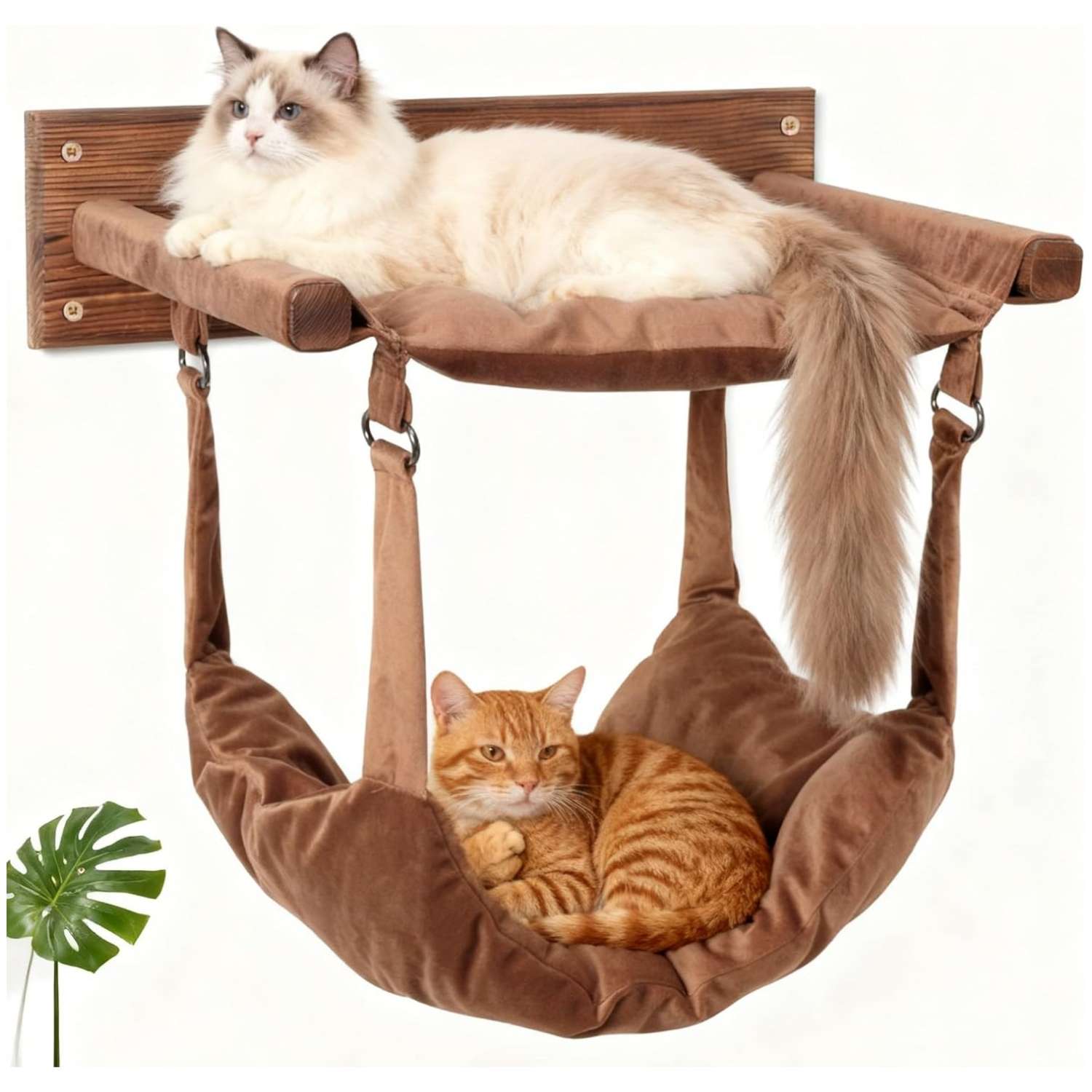 Hamaca de pared para gatos de madera pino. Soporta 23 kilos. Tela lavable y diseño grande de 48 cm.