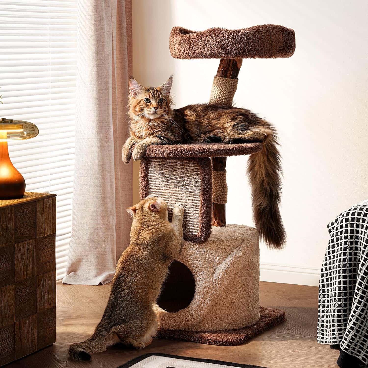 Torre rascador de madera maciza (173 cm) con base 104x62 cm, plataformas extra anchas y postes de sisal. Estabilidad anti-tambaleo para gatos grandes.