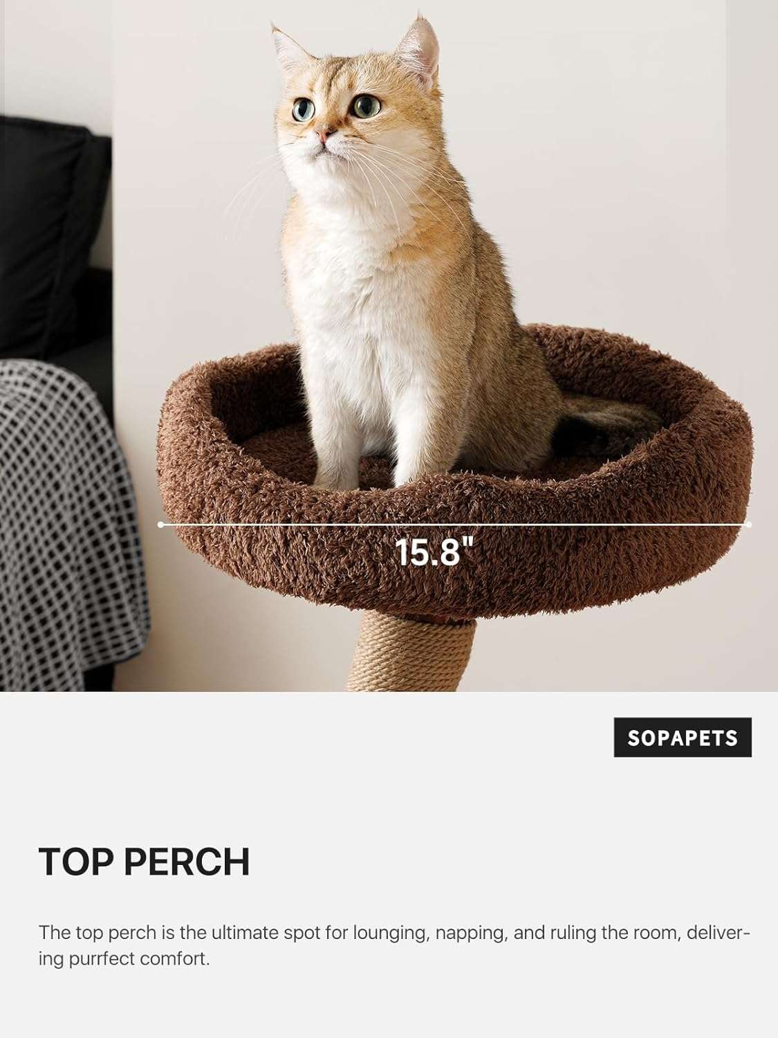 Torre rascador de madera maciza (173 cm) con base 104x62 cm, plataformas extra anchas y postes de sisal. Estabilidad anti-tambaleo para gatos grandes.