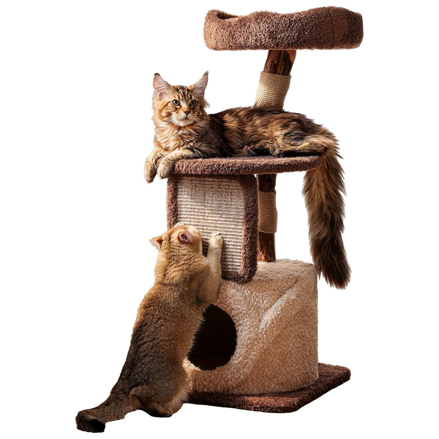 Torre rascador de madera maciza (173 cm) con base 104x62 cm, plataformas extra anchas y postes de sisal. Estabilidad anti-tambaleo para gatos grandes.