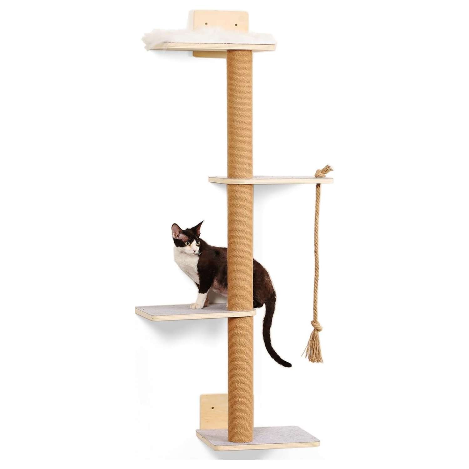 Rascador de pared de madera de pino con cuatro niveles y cama lavable para gatos.
