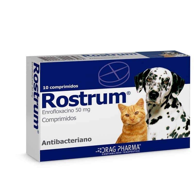 Rostrum Drag Pharma. Antibacteriano de amplio espectro. Comprimidos con Enrofloxacino 50 mg para infecciones en perros y gatos.