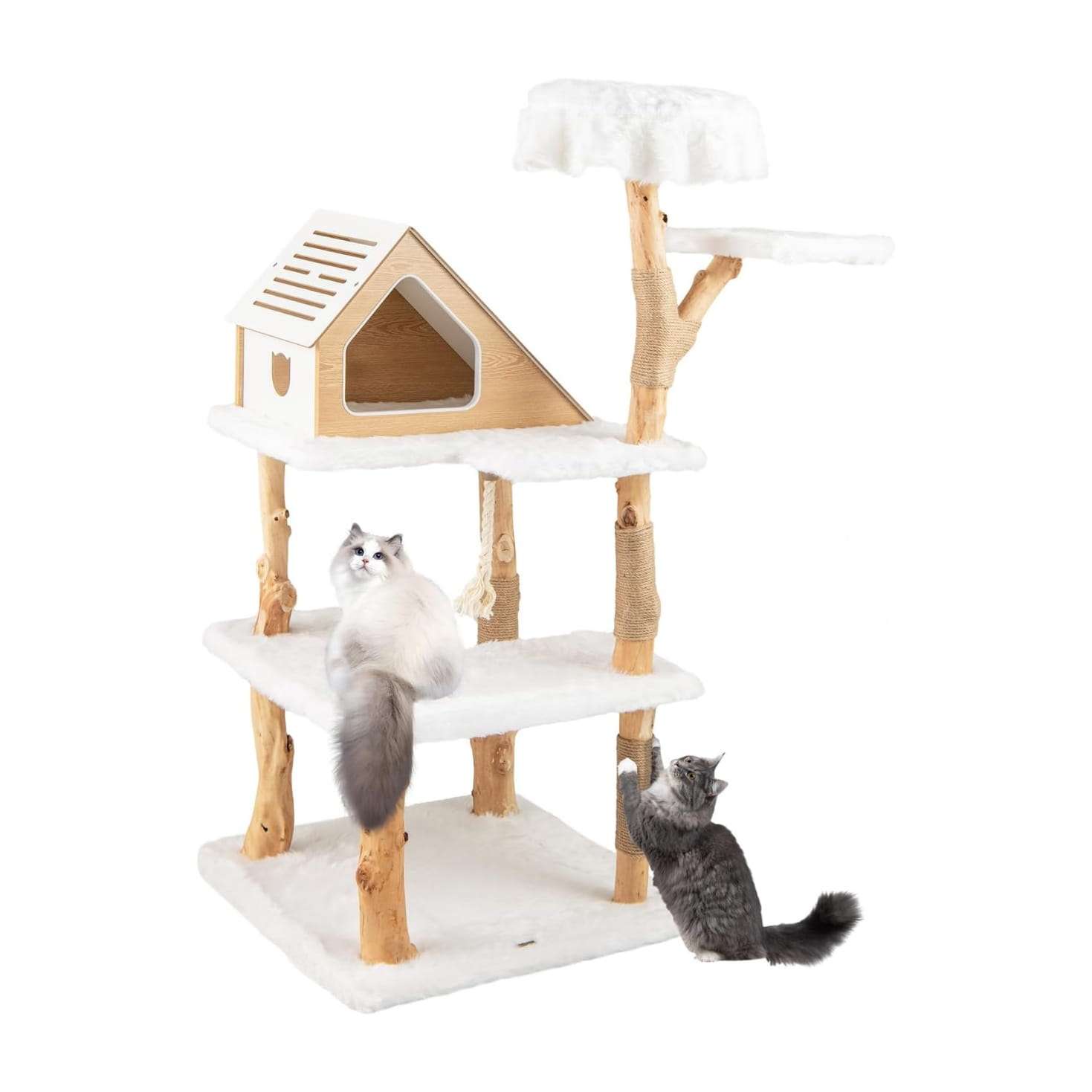 Torre rascador de madera maciza de pera (ciento cincuenta y dos centimetros). Base ultra solida, cojines de felpa y rascador de sisal para gatos.