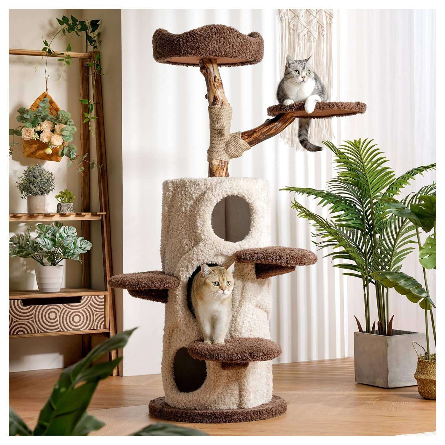 Torre rascador de tronco natural real de 147 centimetros con 3 condominios y cojines lavables para 5 gatos.