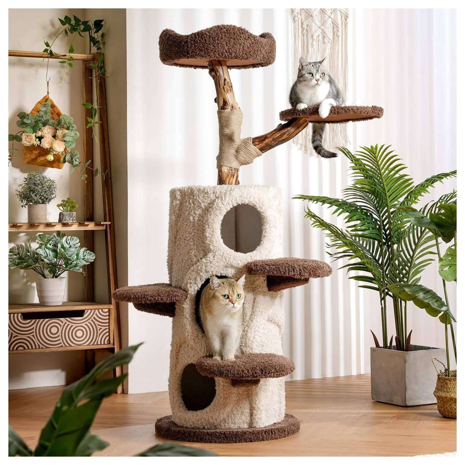 Torre rascador de tronco natural real de 147 centimetros con 3 condominios y cojines lavables para 5 gatos.