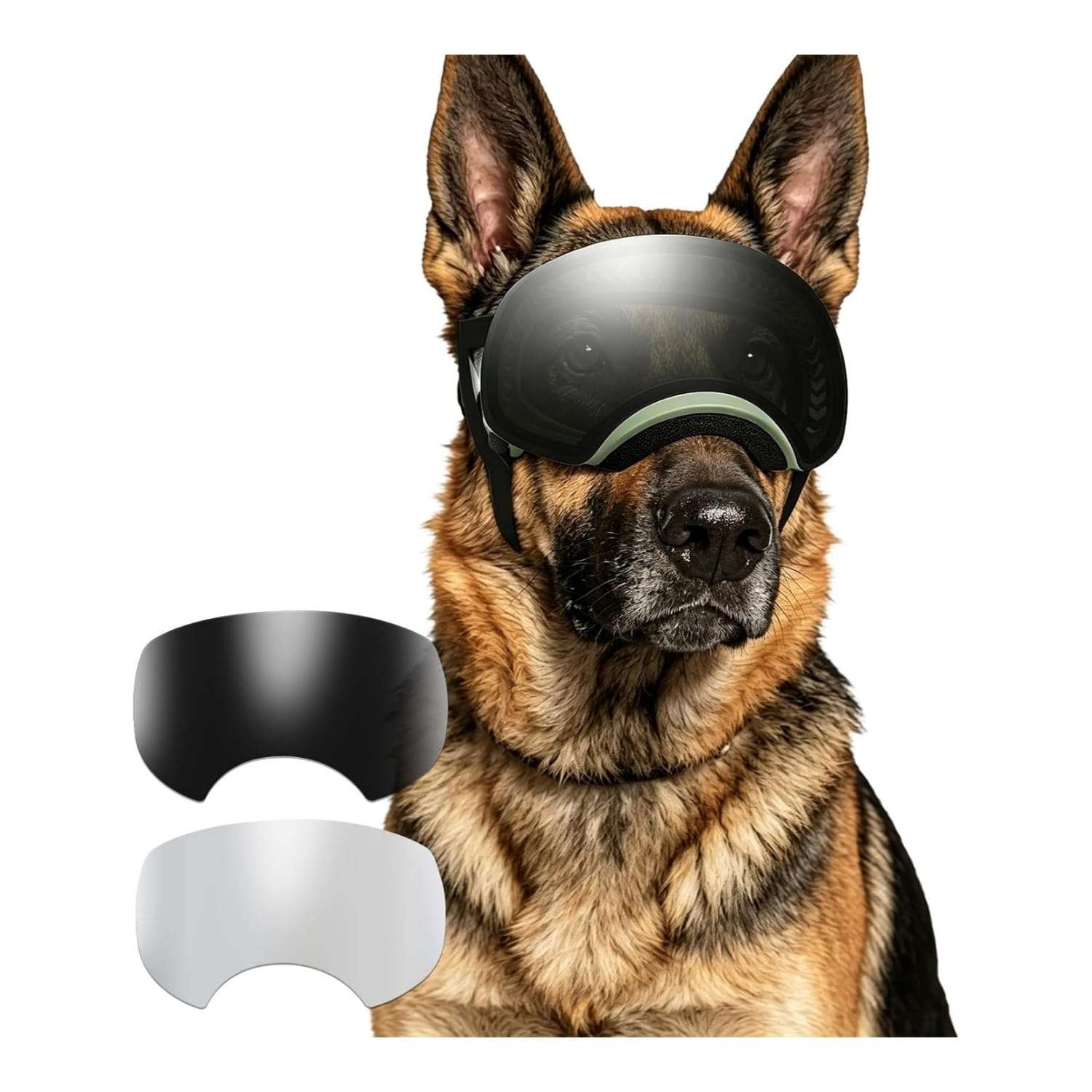 Gafas antiparras magneticas para perros medianos y grandes proteccion UV para moto.