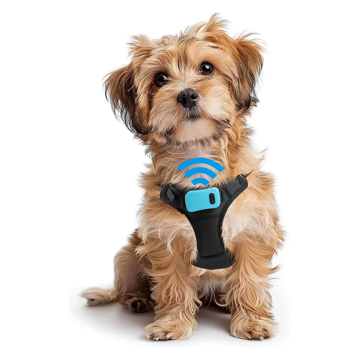 Arnes antiladridos para perros pequeños sin choque con vibracion y argolla de paseo.