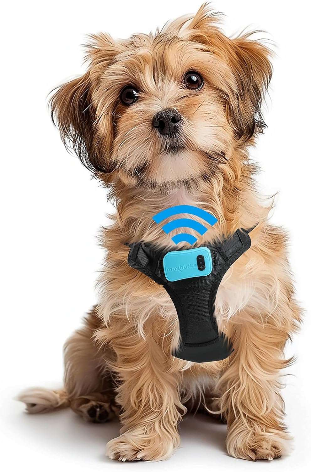 Arnes antiladridos para perros pequeños sin choque con vibracion y argolla de paseo.