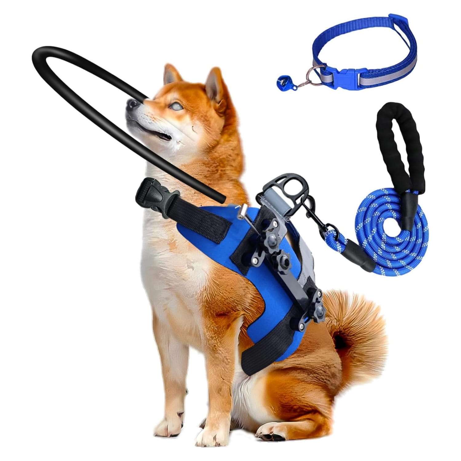 Arnes tipo chaleco con anillo halo protector para perros ciegos tallas s y m con medidas ajustables.