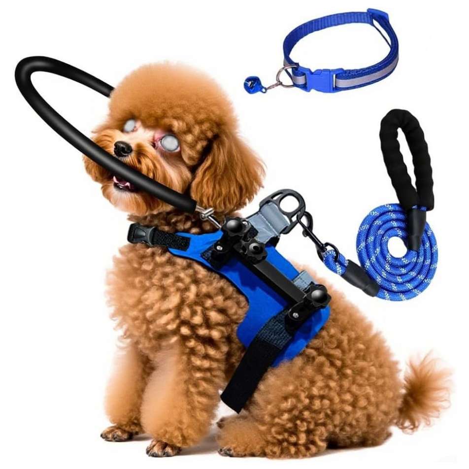 Arnes tipo chaleco con anillo halo protector para perros ciegos tallas s y m con medidas ajustables.