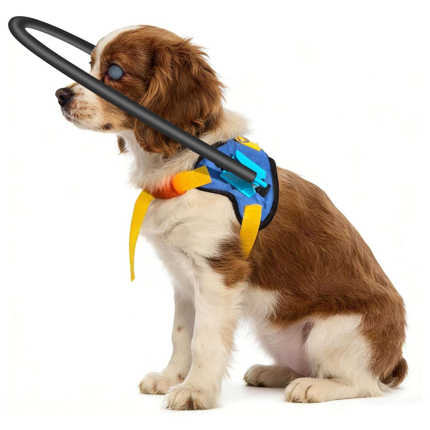 Arnes tipo chaleco con anillo halo protector para perros ciegos antigolpes disponible en tallas XS, S y M.
