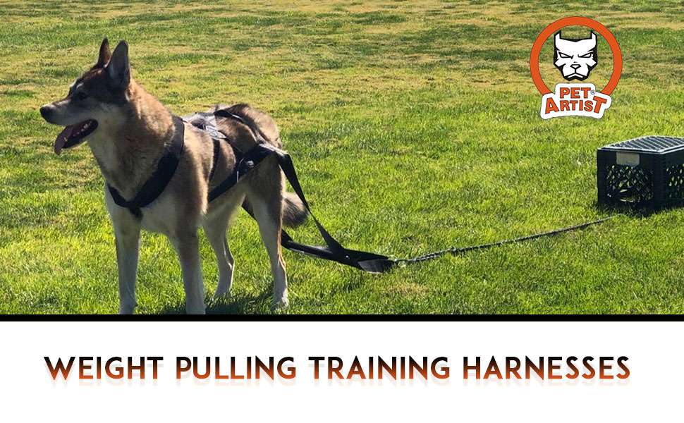 Arnes de tiro y arrastre de peso estilo X-Back para perros grandes. Equipo de entrenamiento acolchado y reforzado para Pitbull y Husky.