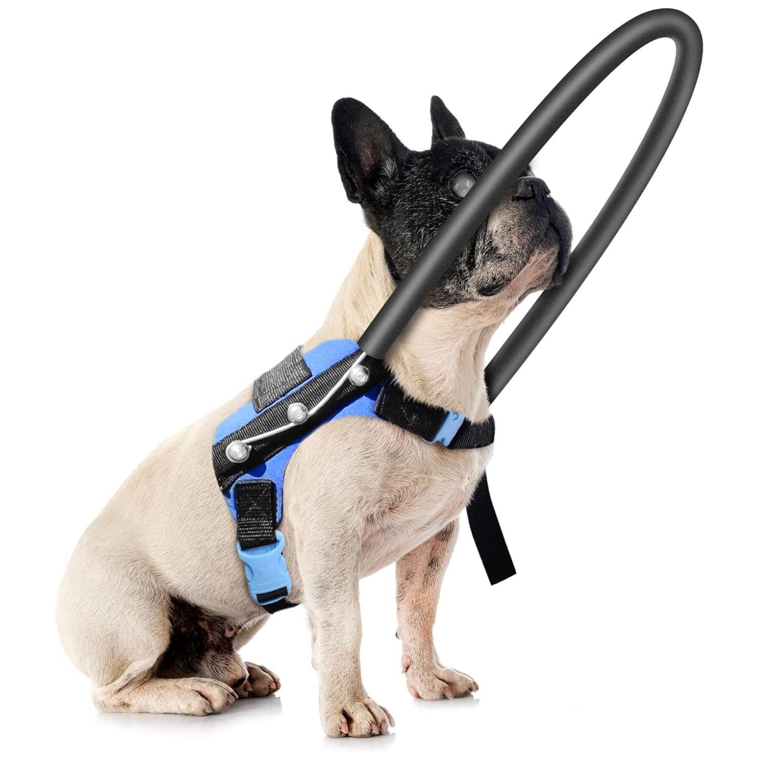 Arnés tipo chaleco con anillo halo protector para perros ciegos antigolpes y ajustable.