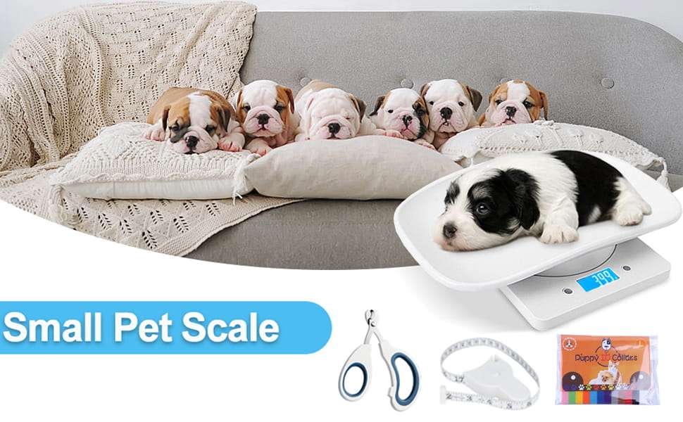 Bascula digital compacta con bandeja para pesar cachorros y gatitos recien nacidos incluye accesorios.