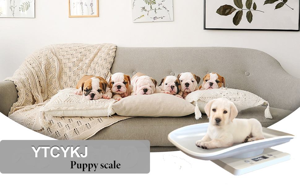 Bascula digital mini para pesar cachorros y gatitos recien nacidos de hasta 15 kilos con bandeja y accesorios.