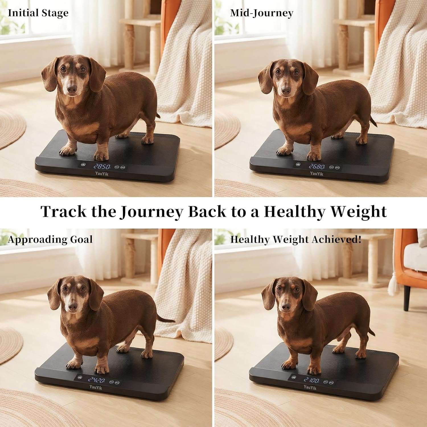 Bascula digital de 40 kilos para mascotas con superficie antideslizante pantalla LED y funcion de retencion.