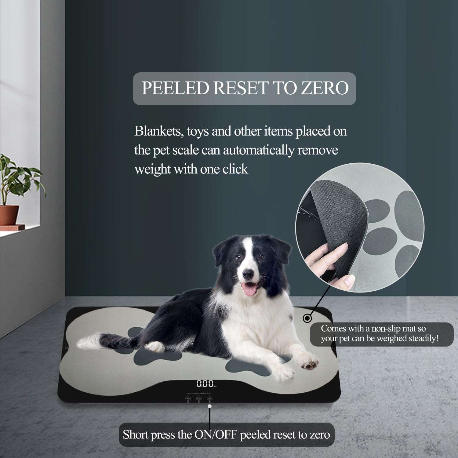 Bascula digital de vidrio templado para mascotas de hasta 100 kilos. Pesa veterinaria recargable para perros medianos y gatos con pantalla LED.