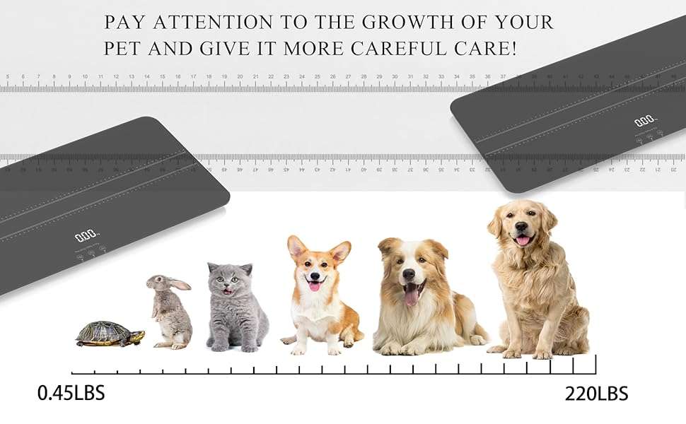 Bascula digital de vidrio templado para mascotas de hasta 100 kilos. Pesa veterinaria recargable para perros medianos y gatos con pantalla LED.