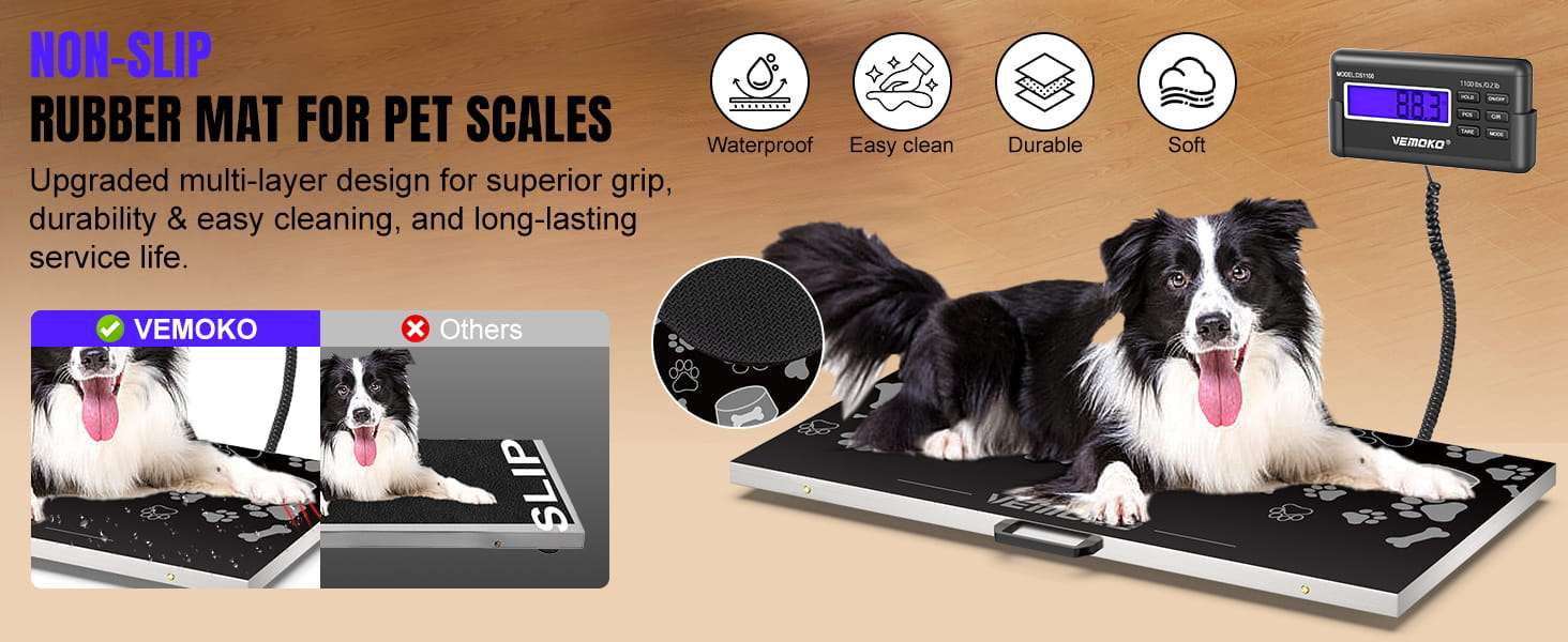 Bascula digital veterinaria de plataforma en acero inoxidable para perros grandes y ganado.