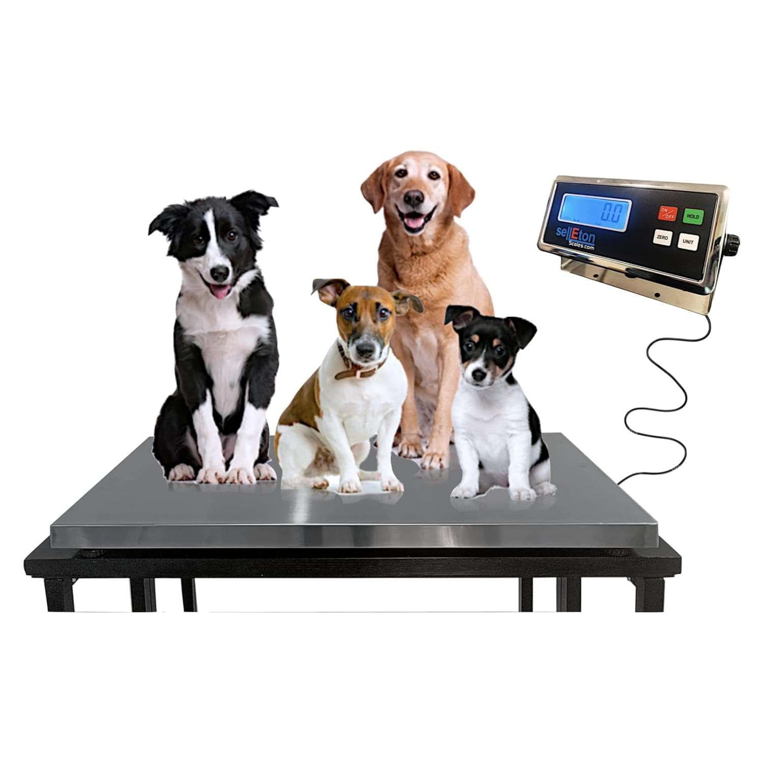 Bascula de plataforma digital de acero inoxidable para perros grandes y ganado con alfombra antideslizante.