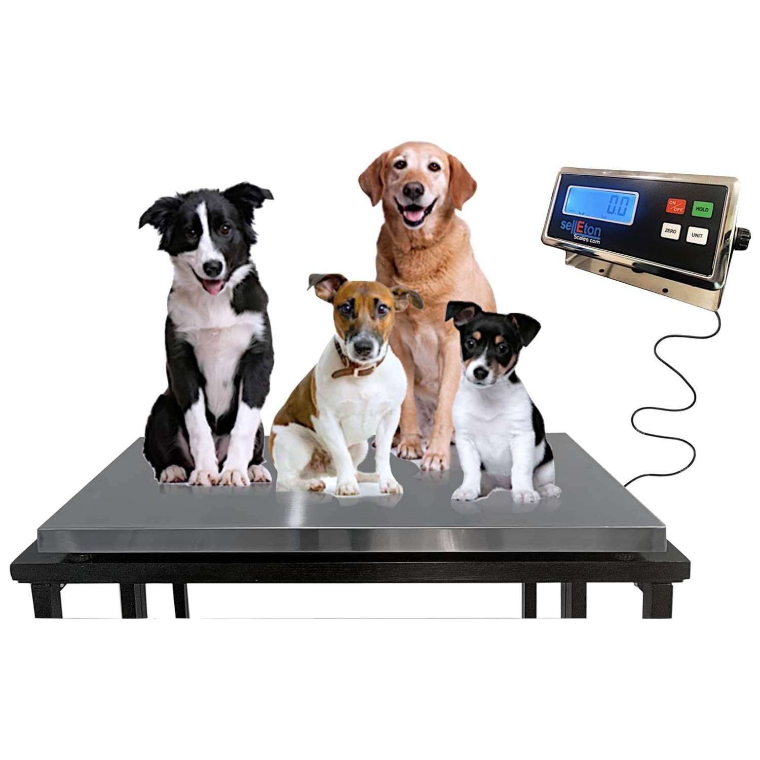 Bascula de plataforma veterinaria de 500 kilos de acero inoxidable. Pesa digital para perros mascotas y ganado con funcion hold.