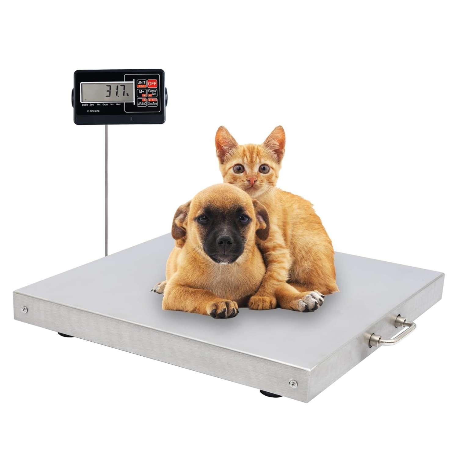 Bascula de plataforma de acero inoxidable de 300 kilos. Pantalla LED y superficie de 46x46 cm para animales y carga.