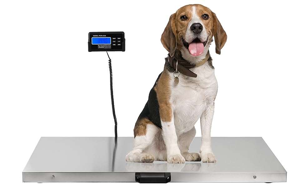 Bascula de plataforma extra grande de acero inoxidable de 103x53 cm. Pesa veterinaria digital para perros grandes y ganado.