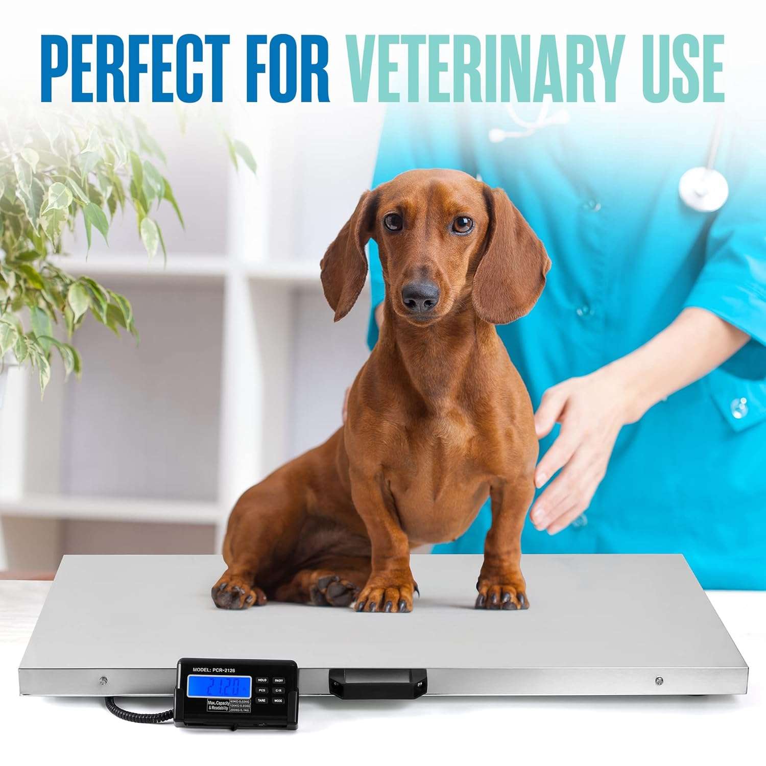 Bascula digital veterinaria extra grande de acero inoxidable para perros grandes y ganado.