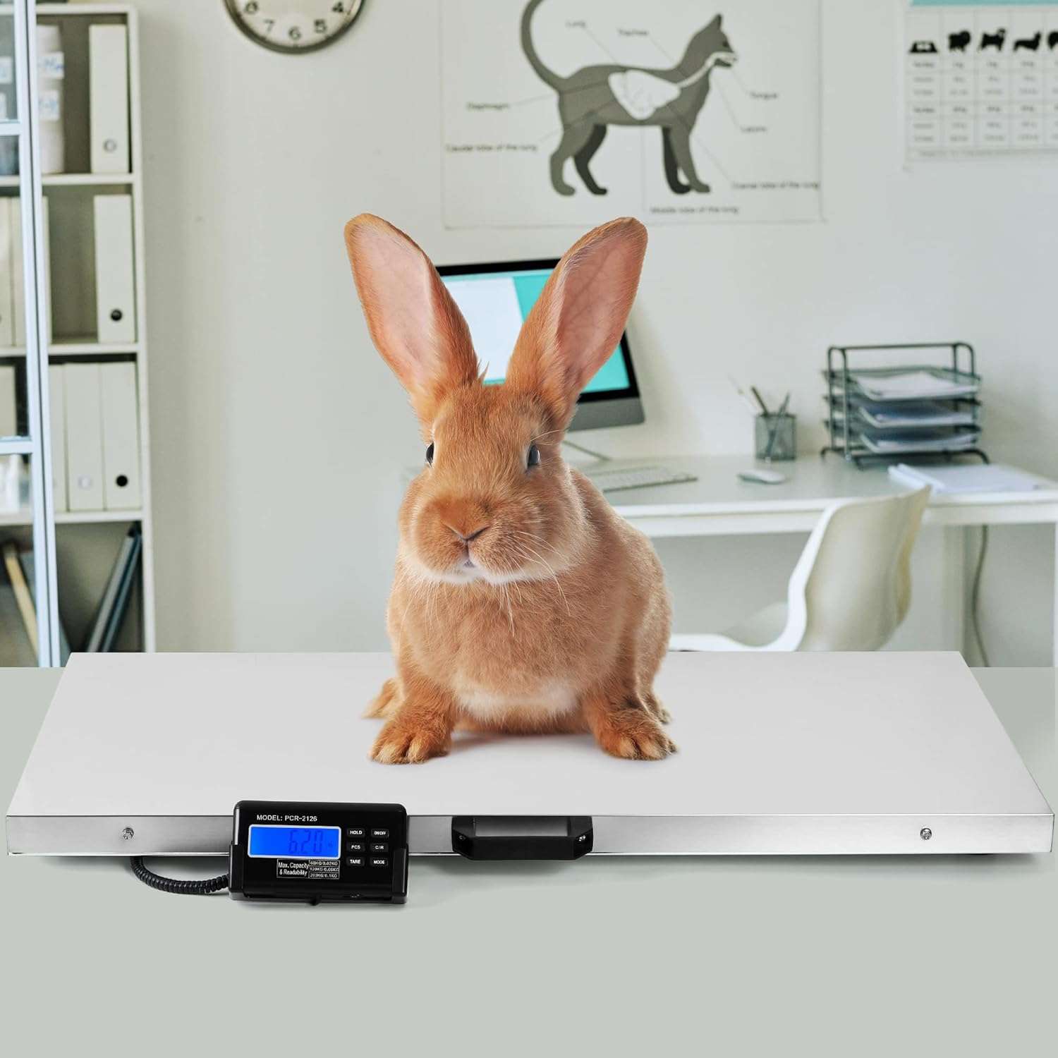 Bascula digital veterinaria extra grande de acero inoxidable para perros grandes y ganado.