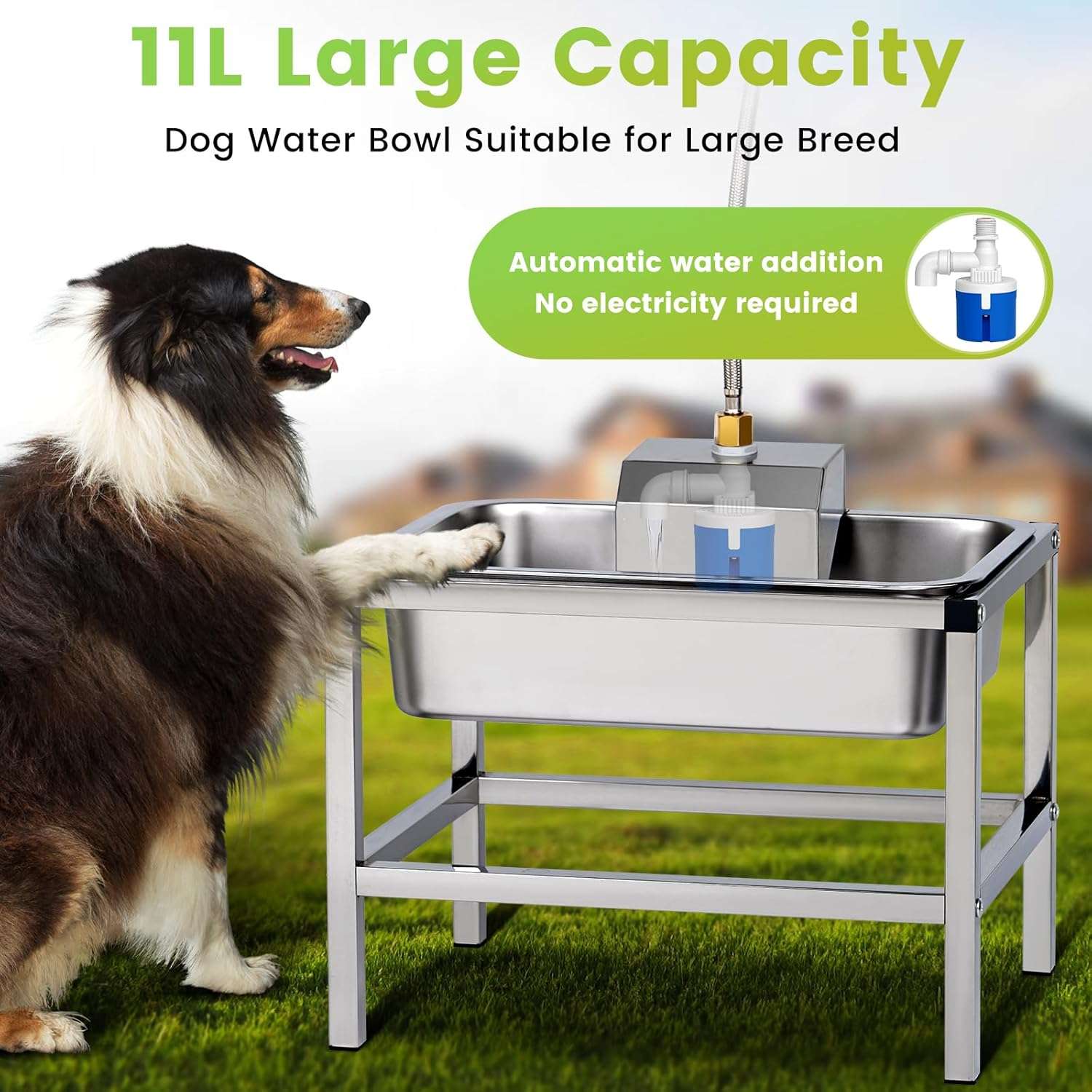 Bebedero automatico elevado de acero inoxidable 11 litros con soporte para perros grandes y conexion a manguera de jardin.