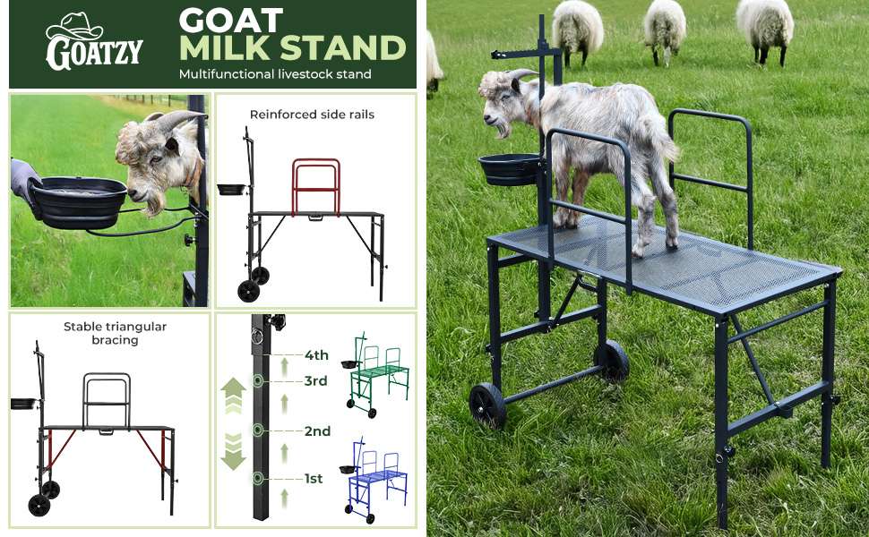 Brete movil galvanizado para cabras y ovejas con ruedas. Plataforma de ordeño y despalme ajustable que soporta 272 kilos.